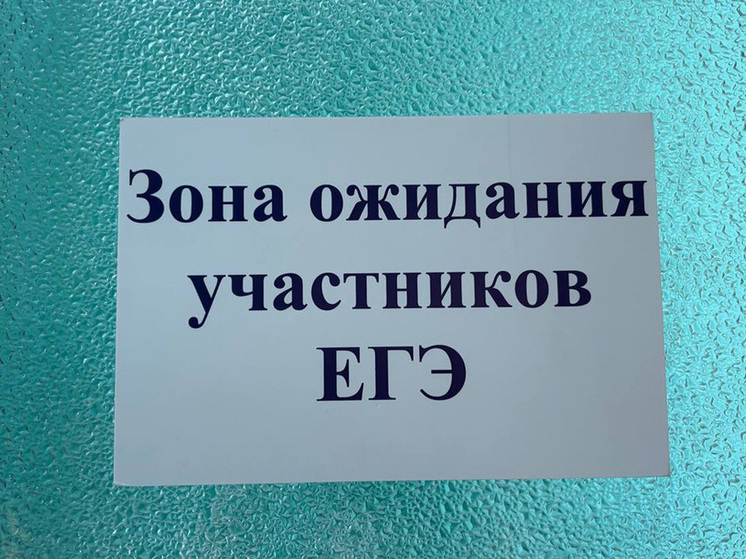 Пензенские выпускники узнали результаты ЕГЭ по литературе и истории