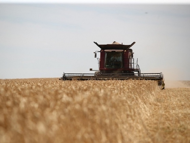 В Волгоградской области представят новации российского АПК