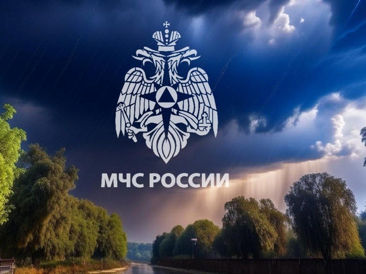 Жителей Тульской области в ближайшие три часа ожидают грозы с ливнем
