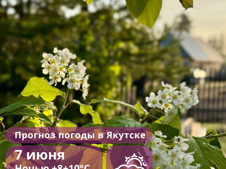 Погода в Якутии на сегодня: дожди на севере, грозы на юге