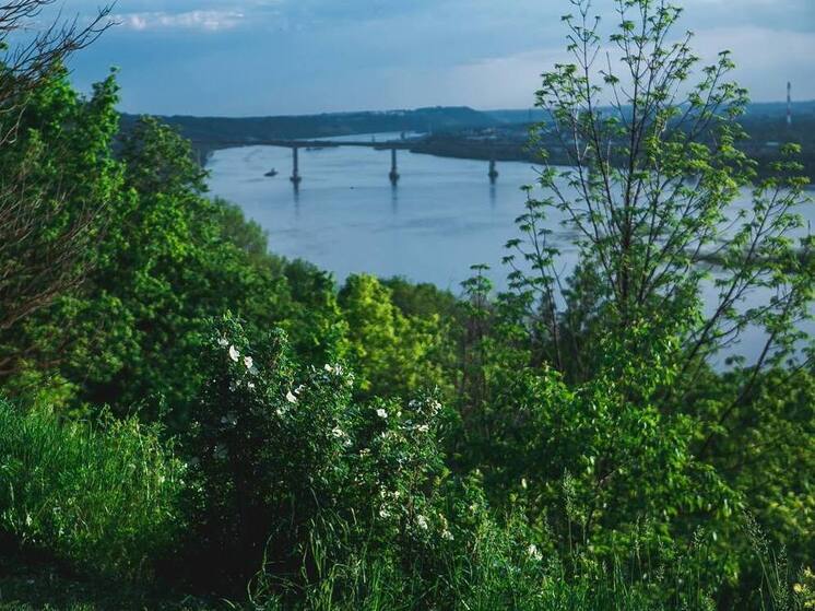 +27°C и небольшой дождь ожидается в Нижнем Новгороде 7 июня