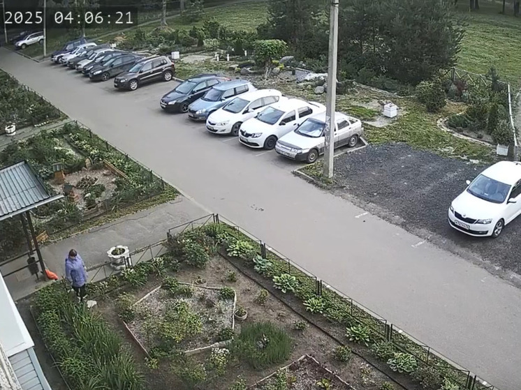 В Ярославле засняли пенсионерку, обокравшую чужую клумбу