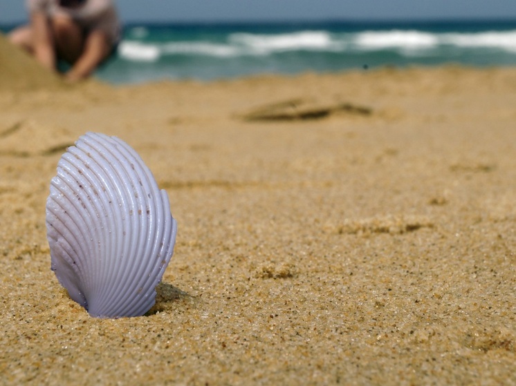 Приморцам запретят брать с собой на пляж животных