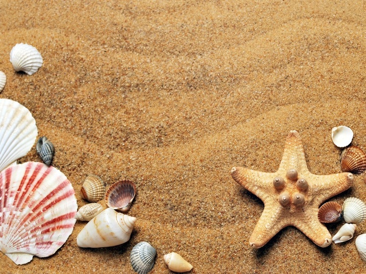 Хабаровчанам разрешат брать на пляж только собак-поводырей