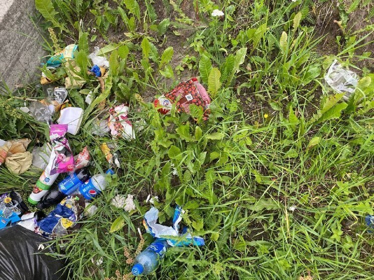 В Хакасии около ТЭЦ и теплиц образовалась огромная свалка, отравляющая природу