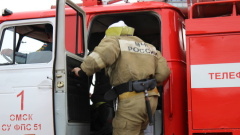 Омский подросток застрял на дереве