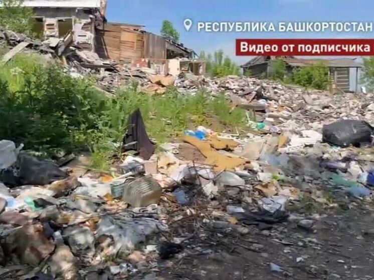 Жители Уфы пожаловались на незаконную свалку под окнами