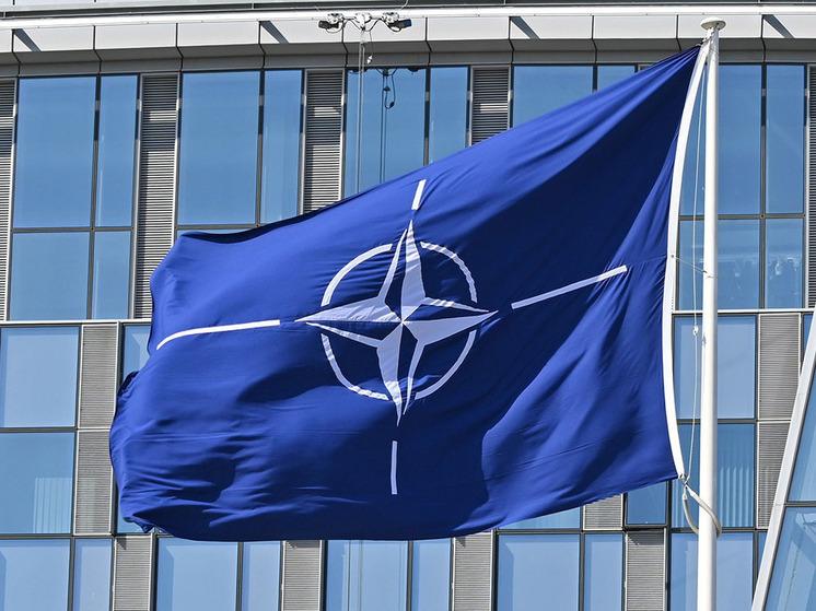 «Агрессия России не знает границ
