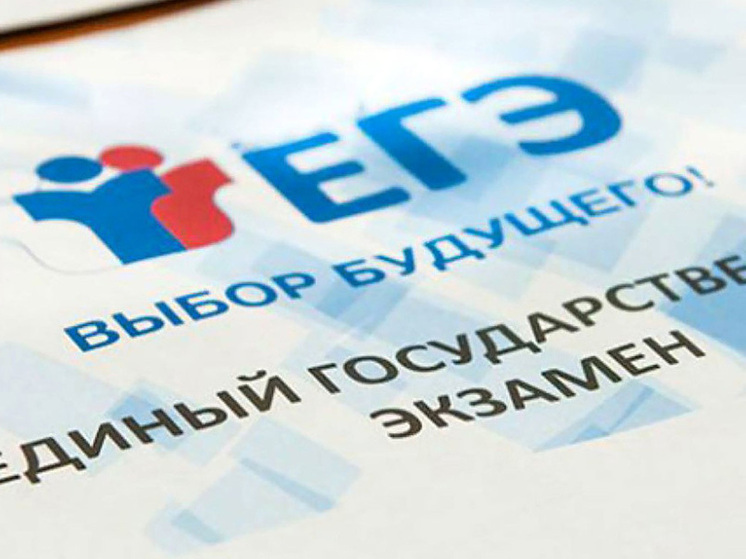 Пензенские выпускники блеснули знаниями на ЕГЭ по химии: 15 стобалльников в регионе