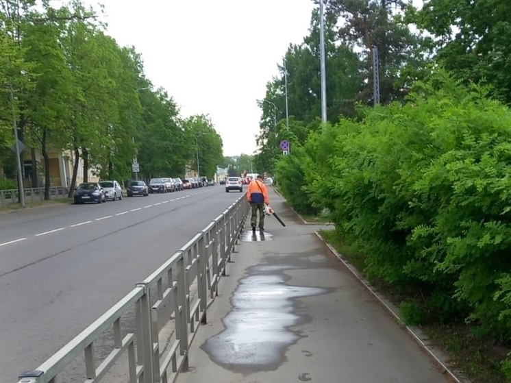 Дорожные службы проводят чистят тротуары Петрозаводска
