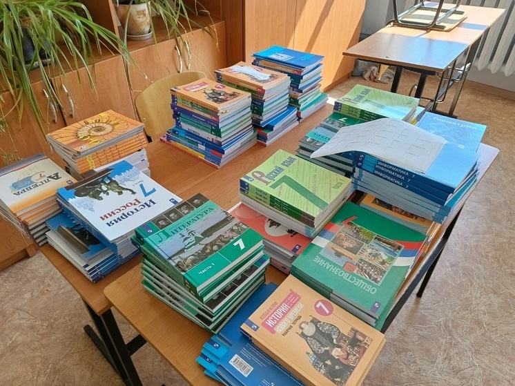 Единый учебник по русскому языку появится в школах ЛНР