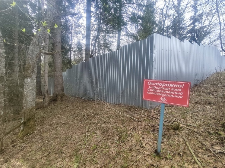 На Новгородчине провели обследования скотомогильников