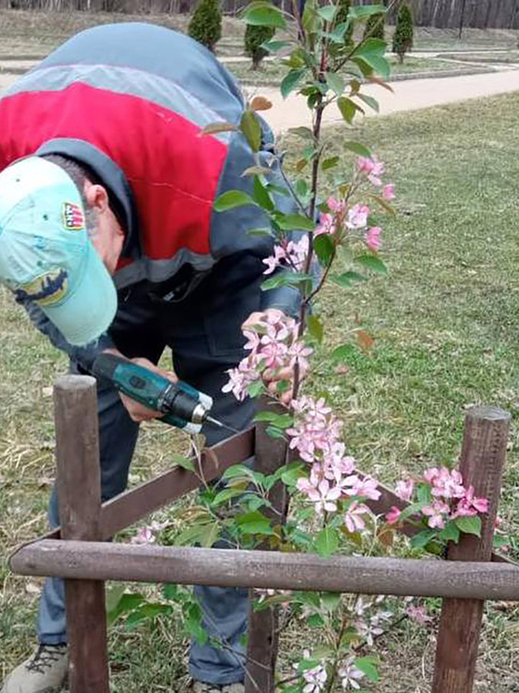 В Калуге позаботятся о саженцах