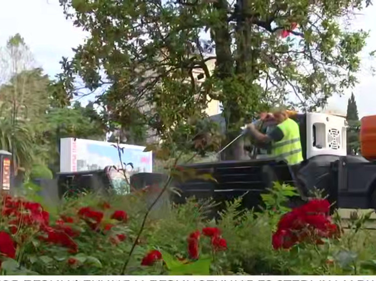 В Сочи с начала года дезинфицировали 260 гектаров общественных пространств и турмаршрутов