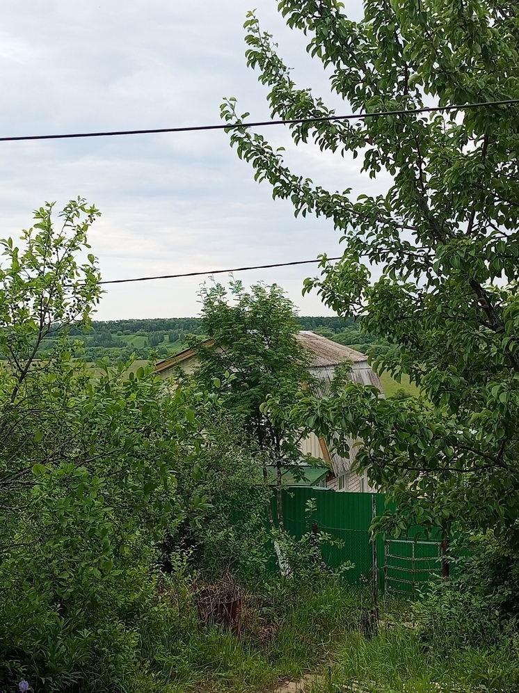 8 июня в Татарстане ожидается гроза и ливень