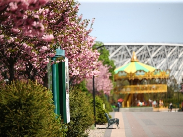 В волгоградском ЦПКиО установили летний «душ» для альпак и лам