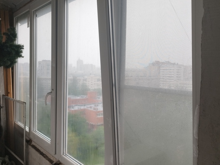 Новгородцев ожидают дожди с грозами и жарой в предстоящие дни