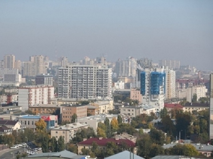 В Волгограде появятся Нарциссовая, Лепестковая и Букетная улицы