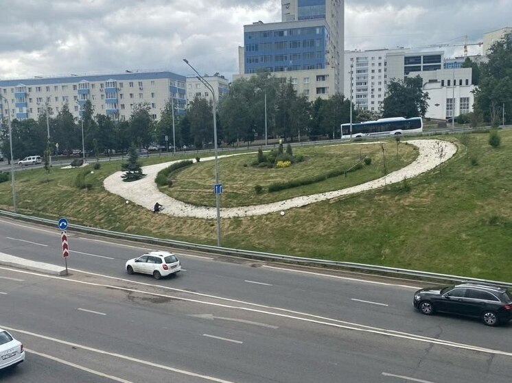 На развязке на улице Заки Валиди в Уфе высадили яблони, черемухи и гортензии