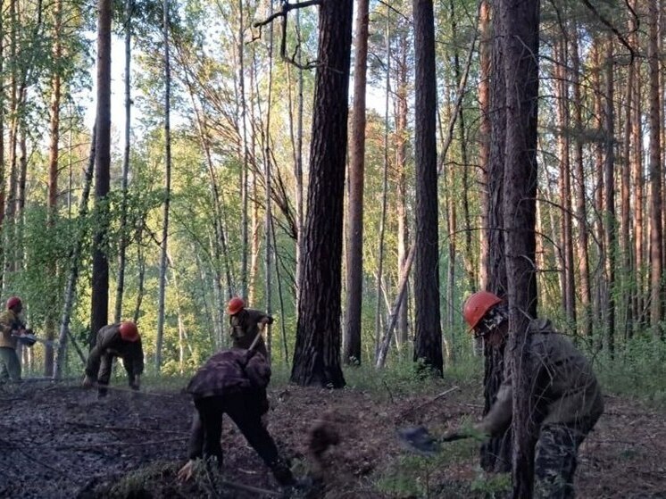 Красноярские огнеборцы спасли гнездо глухарки