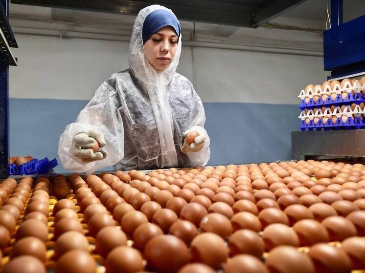 Первая партия яиц экспортирована из Челябинска в Абхазию