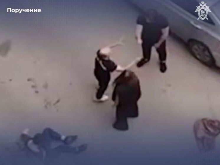 Александр Бастрыкин заинтересовался дракой в Ленобласти с участием спортсмена