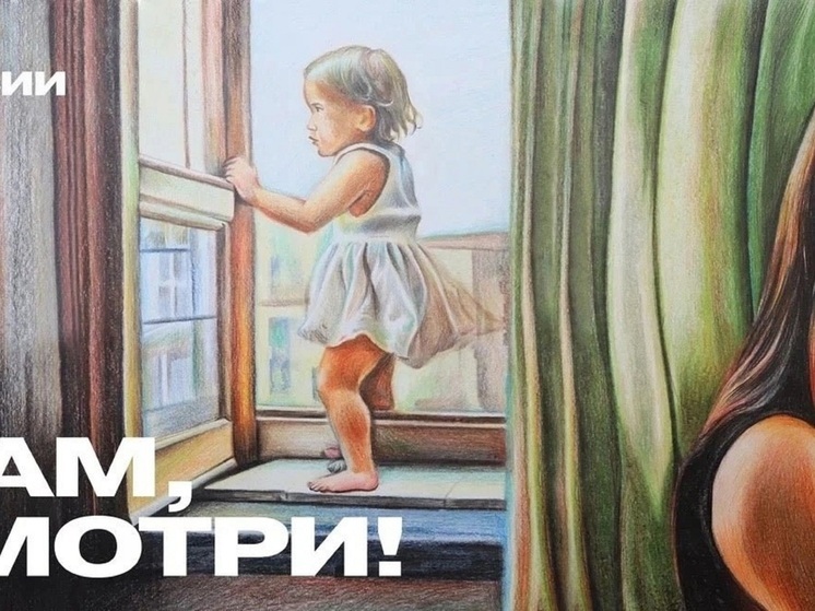 В НАО напомнили про опасность москитной сетки