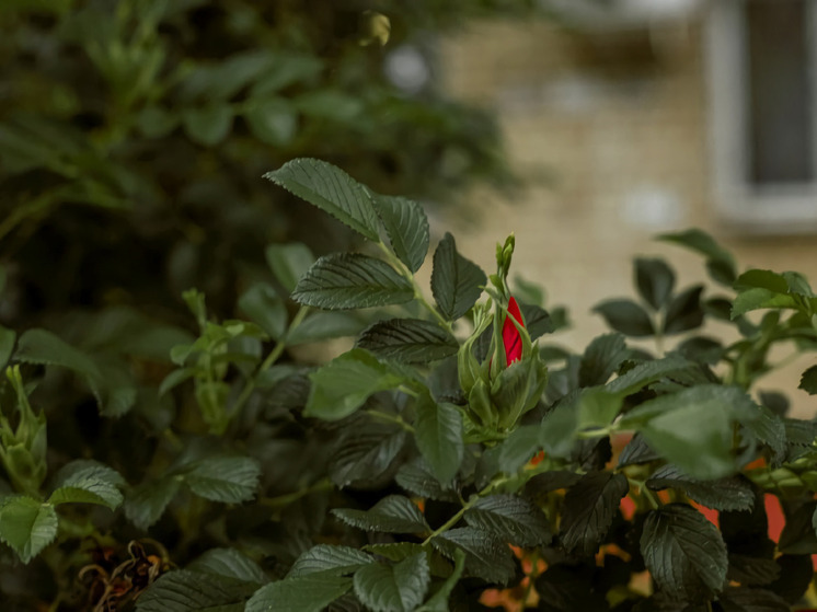 Во Владивостоке 8 июня ветрено и от +20 до +22 градусов