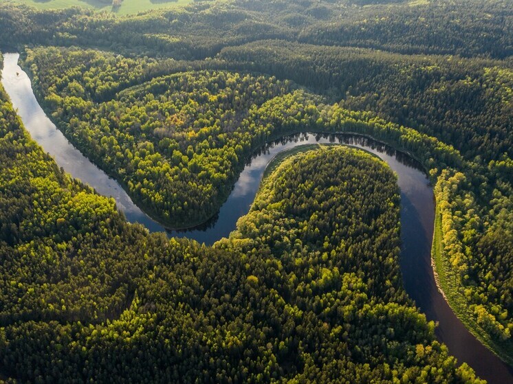 Власти Бразилии сообщили об исчезновении лесов в Амазонии на площади 960 квадратных километров