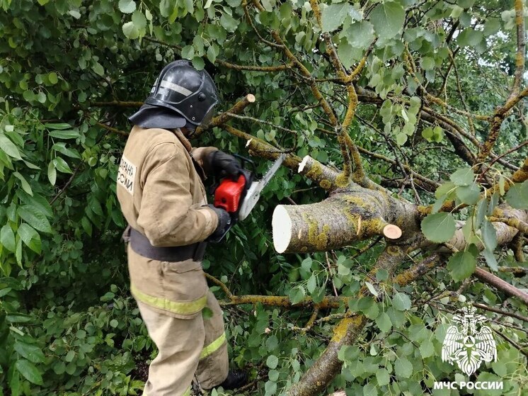 Сотрудники орловской МЧС убрали с дороги упавшее дерево