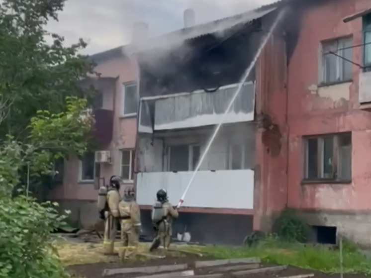 Биробиджанец сжег балкон в борьбе с пчелами