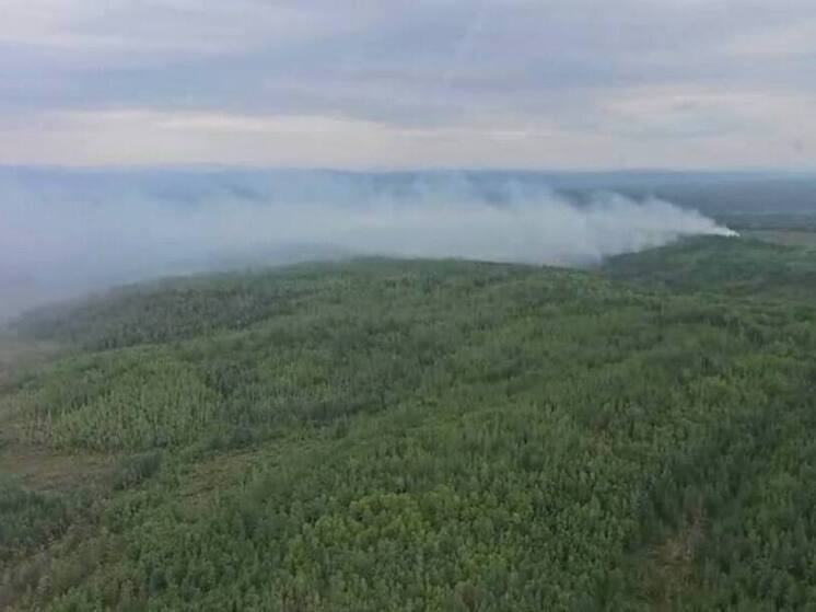 В Хабаровском крае ликвидировали крупные лесные пожары