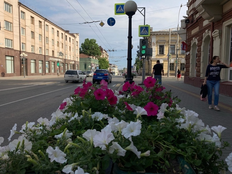 В Томске 8 июня ожидается прохладная погода с дождями