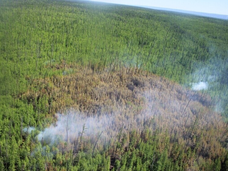 В Якутии за сутки ликвидирован один лесной пожар
