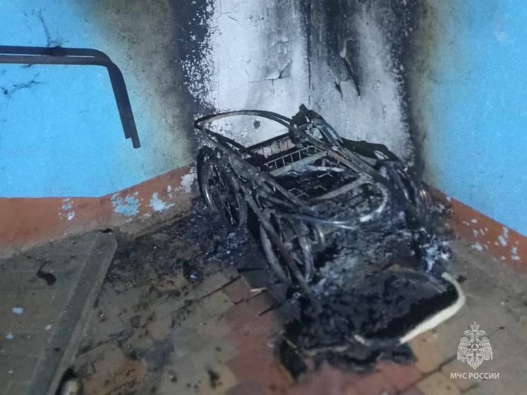Под Боровском в подъезде многоквартирного дома сожгли детскую коляску