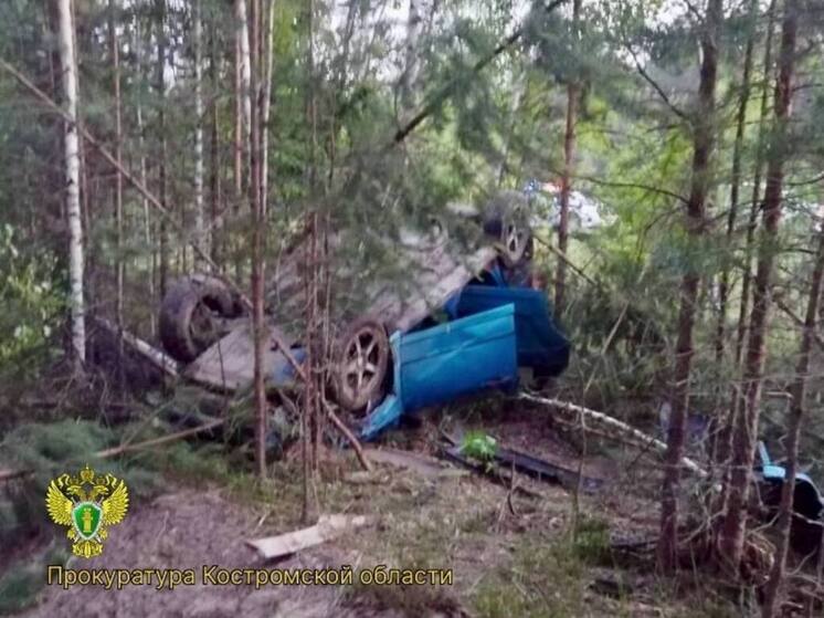 На костромской трассе при столкновении с лосем погибли водитель и пассажир авто