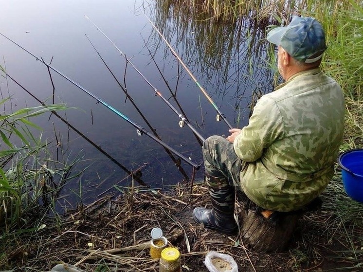Почему сегодня нужно сходить на рыбалку