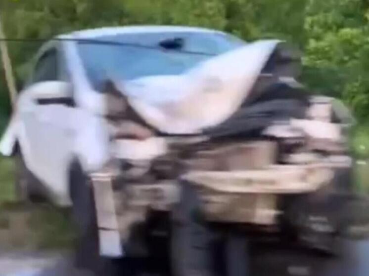 В Скопине Рязанской области легковой автомобиль врезался в столб
