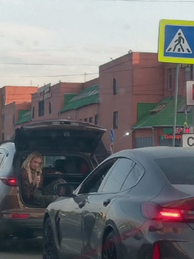 Челябинец, катавший девушку в открытом багажнике, признал свою вину