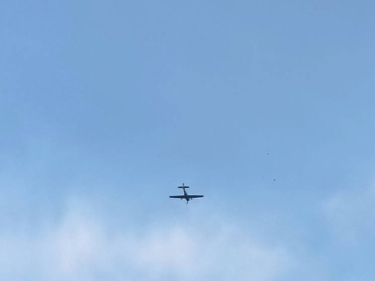 На работу аэропортов Домодедово и Жуковский введены временные ограничения из-за угрозы атаки БПЛА