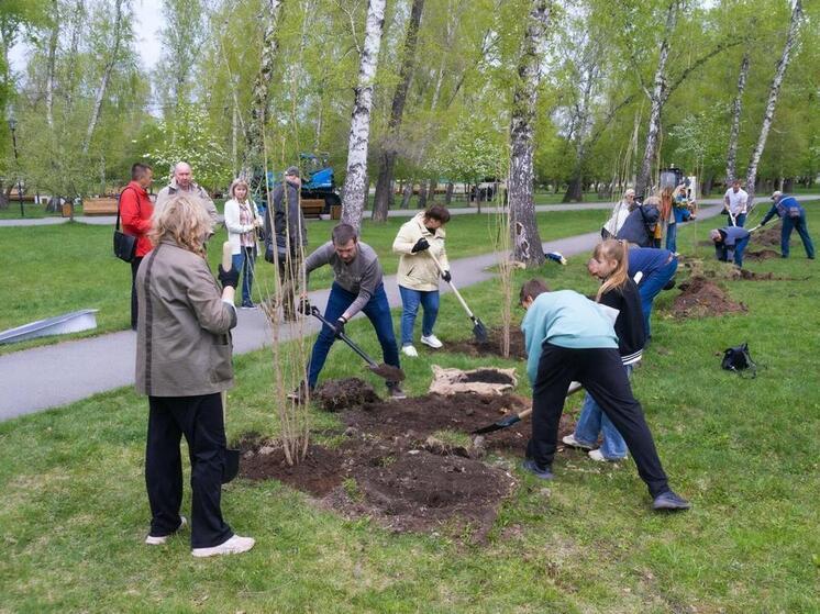  В Челябинской области высадили 8 миллионов молодых деревьев