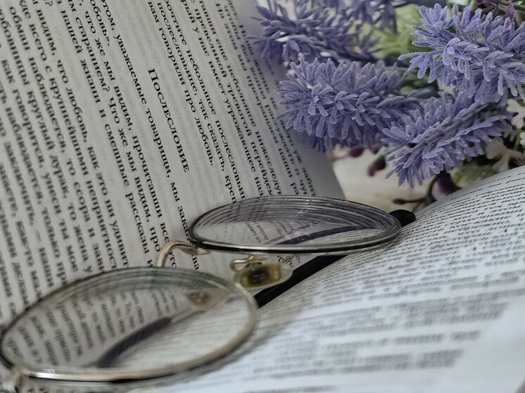Новгородцам посоветовали читать бумажные книги при проблемах со сном