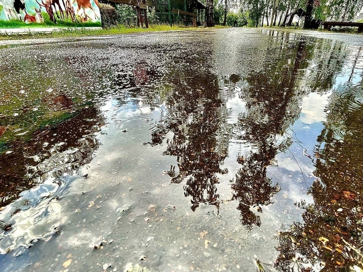 В Омске сточные воды затапливают дворы на 2-й Нагорной