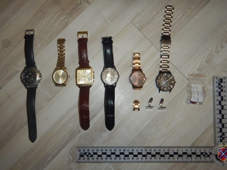 Пятерых волгоградцев задержали за кражи из элитных квартир и коттеджей