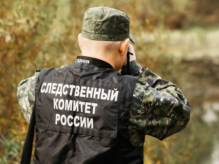 Следователи СК проводят проверку после столкновения в Тверской области катера и сапа, где погибла девушка