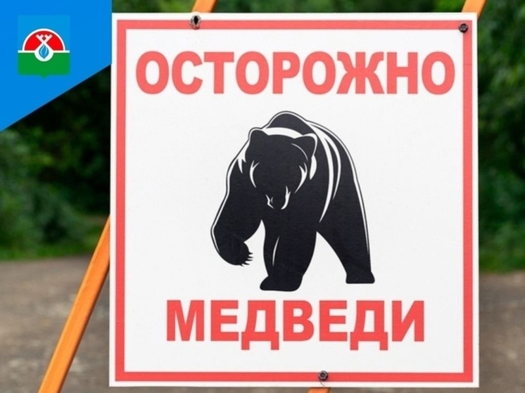 Семью медведей заметили недалеко от Ягельного