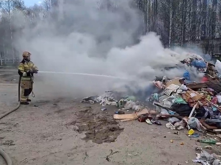 Отходы вспыхнули прямо в мусоровозе в Надыме