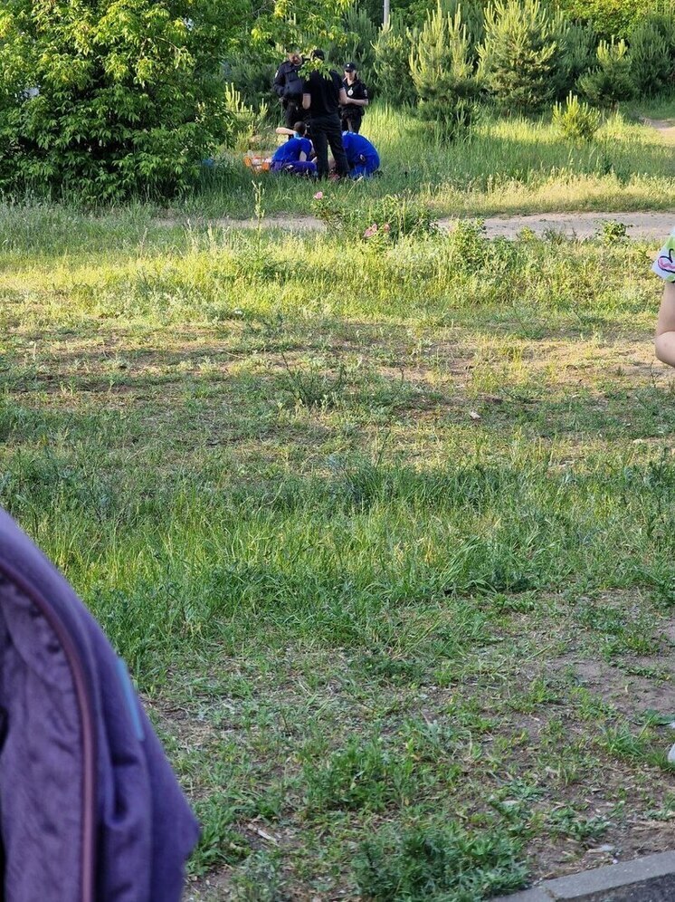 В Твери мужчина сначала бил деревья, а потом умер на глазах у ошеломленных прохожих