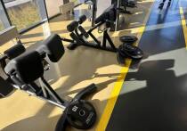 HIIT, или же высокоинтенсивные интервальные тренировки, являются способом развития таких физических качеств, как скорость, сила и выносливость