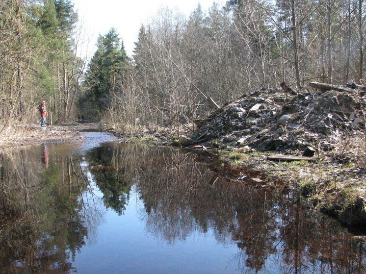На бездействие Калининского и Бородинского сельсоветов в вопросе свалок отреагировало Минприроды
